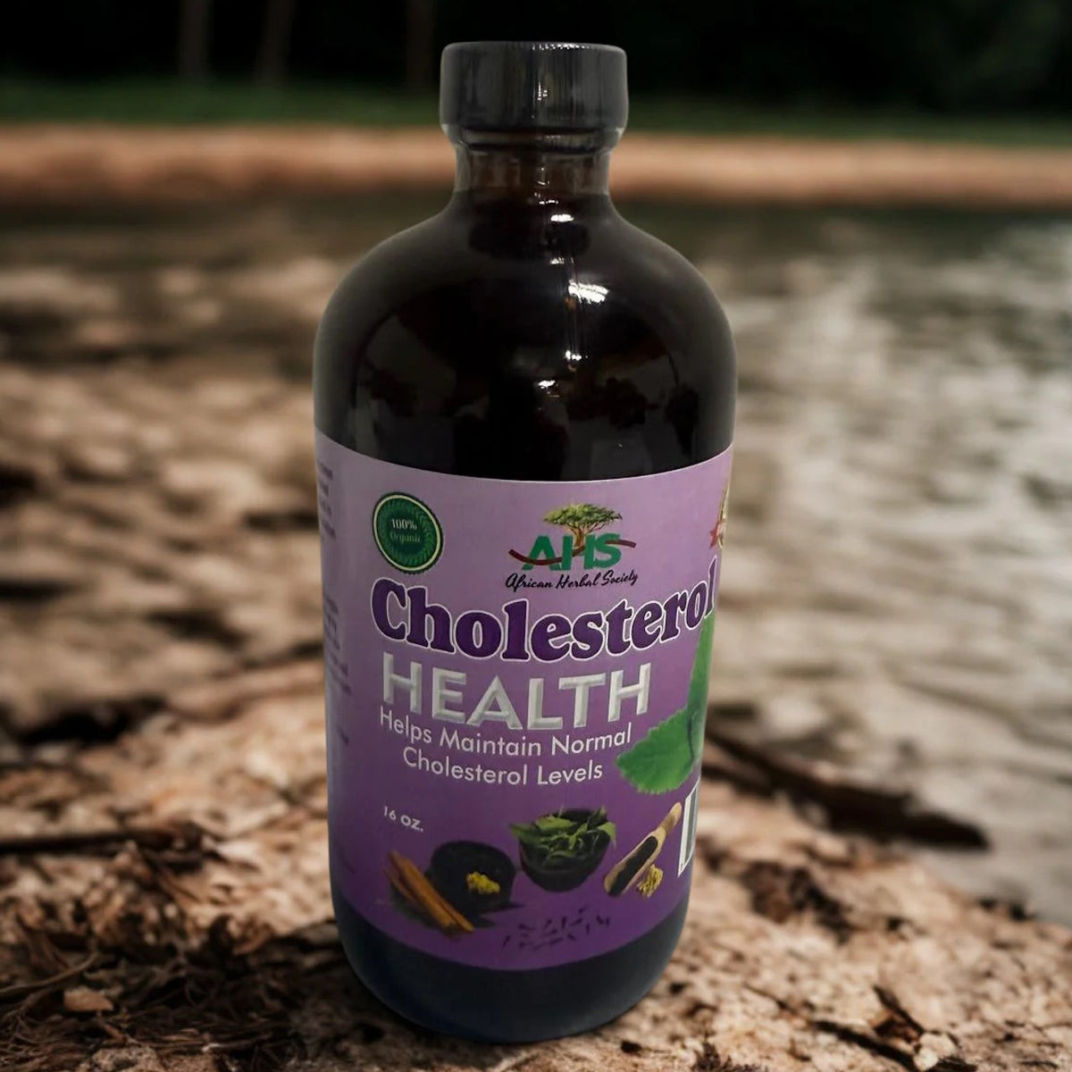 Cholesterol Health -16 oz